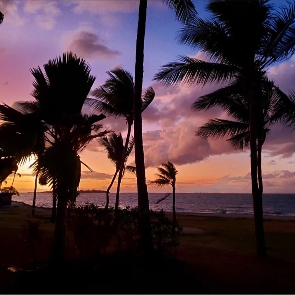 Meet your Posher, Janice